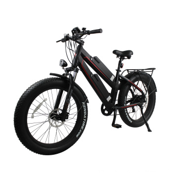 color customized ebike 11.6Ah dual lithium battery aluminum alloy frame fat bike